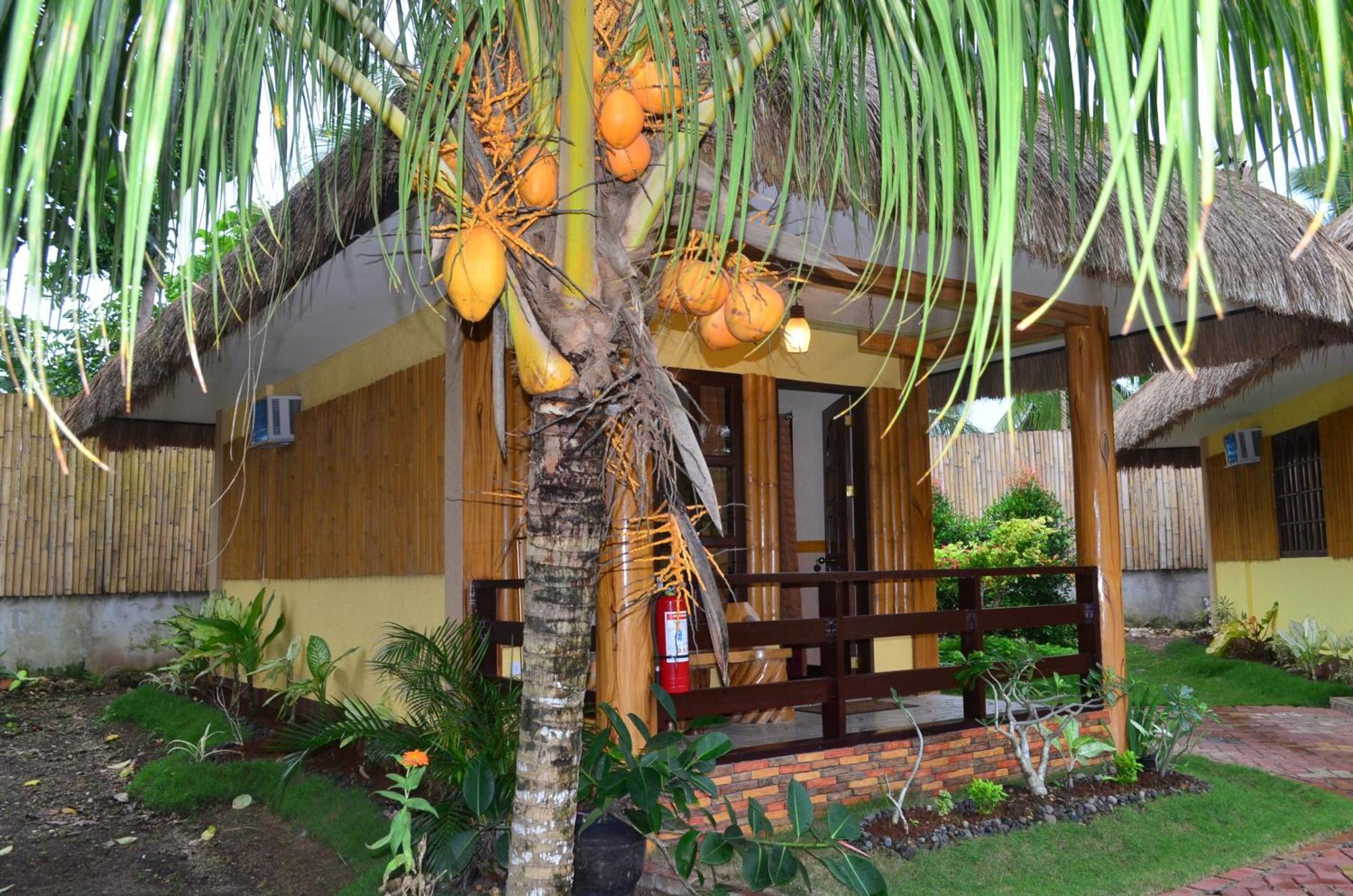 Veraneante Resort Panglao Camera foto