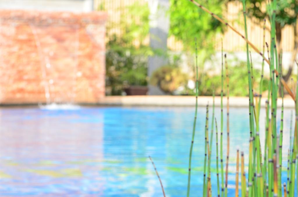 Veraneante Resort Panglao Esterno foto